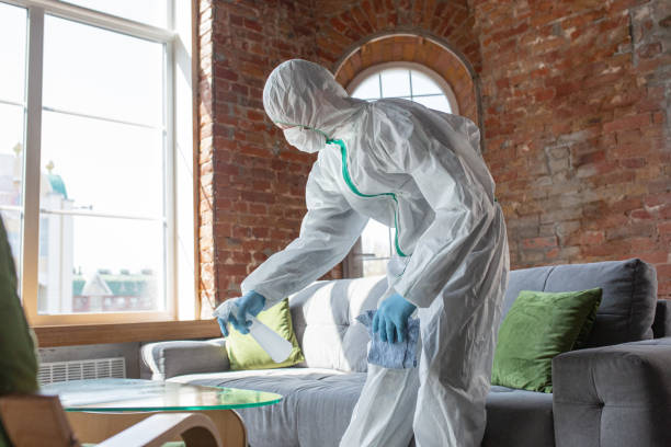 Best Biohazard Mold Removal in Lynchburg, VA